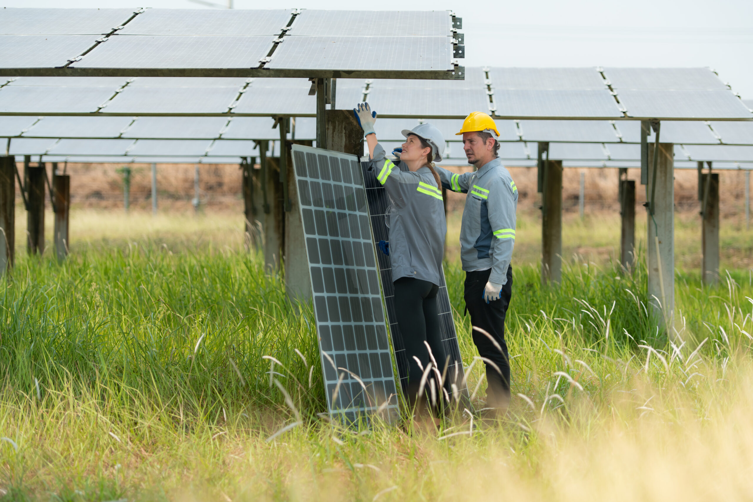 What You Need To Know About Solar Rebates in Alberta